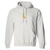 DryBlend Hooded Sweatshirt Thumbnail